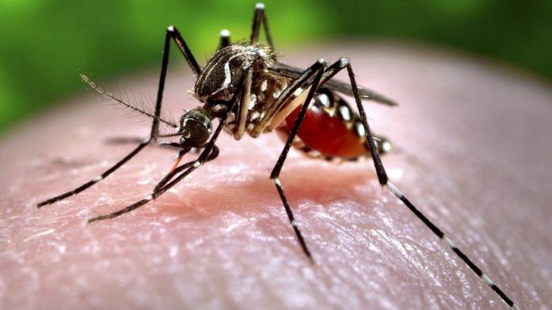 Why are some people mosquito magnets? Clues are emerging