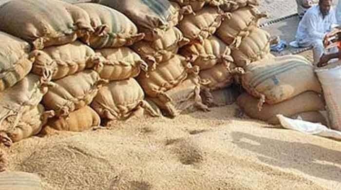 Wheat sold above official rate as flour crisis deepens in Punjab