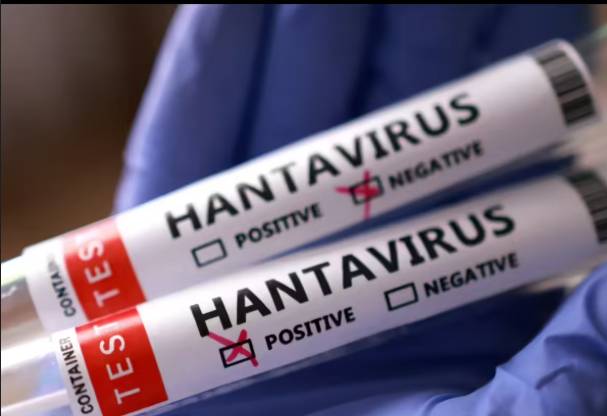WHO confirms eight cases of Andes hantavirus in outbreak