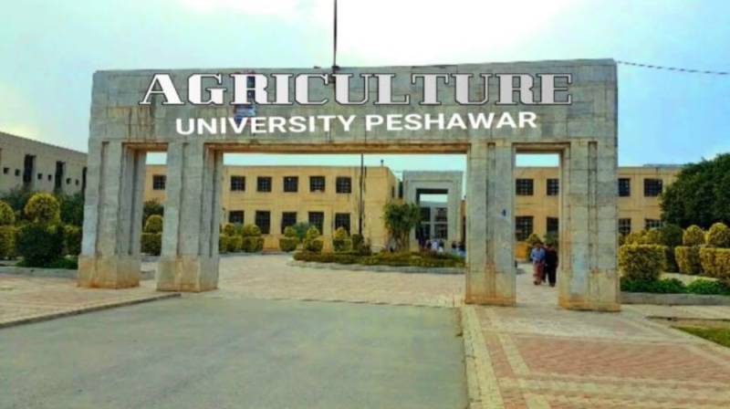 FIR lodged against students involved in Agri University Peshawar arson