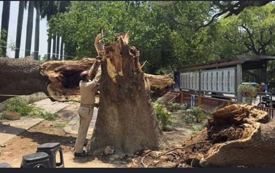 Toll from India's Uttar Pradesh storms, lightning rises to 111