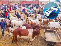 SBP launches ‘Go Cashless’ campaign for Eid-ul- Azha cattle markets
