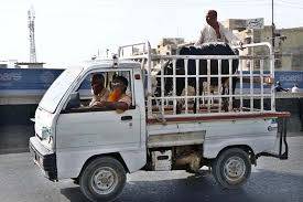 Entry of vehicles loaded with animals banned on motorways ahead of Eid-ul-Azha