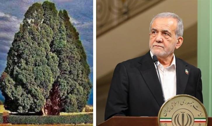 President Pezexhkian shares image of oldest tree in Iran on social media