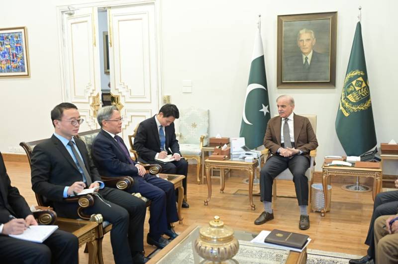 PM Shehbaz, Chinese envoy discuss ways to strengthen bilateral relations