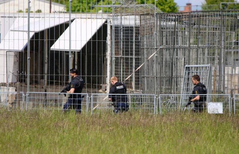Escaped tiger shot dead by German police