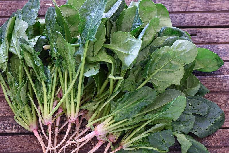 Spinach rich in nutrients, offers wide range of health benefits: Experts