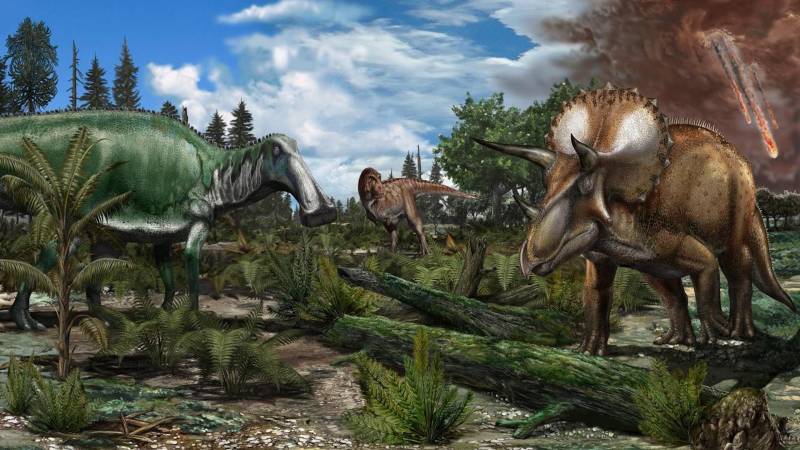 Swedish expert on mission to bring Jurassic era to life