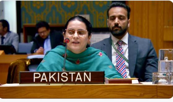 At UN Security Council, Pakistan exposes India as terror sponsor, aggressor, occupier