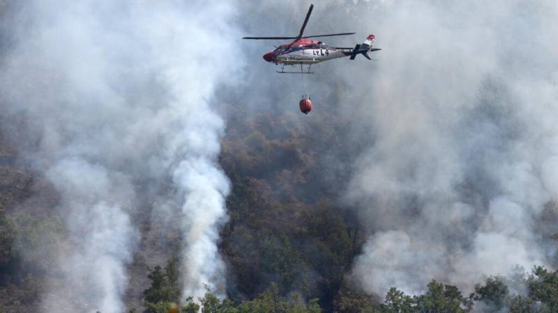 Spain to launch biggest forest fire campaign after record losses