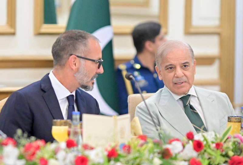 PM Shehbaz urges Rahim Aga Khan to expand partnership with Pakistan