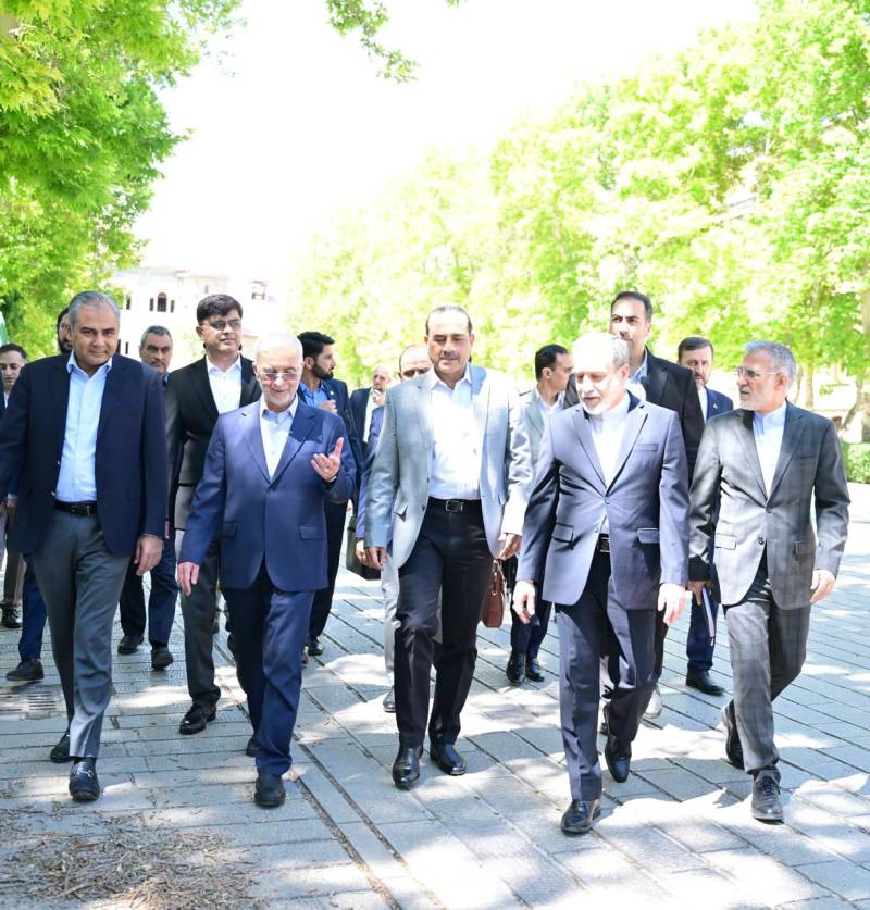 Interior Minister Mohsin Naqvi playing active role in Iran-US peace deal