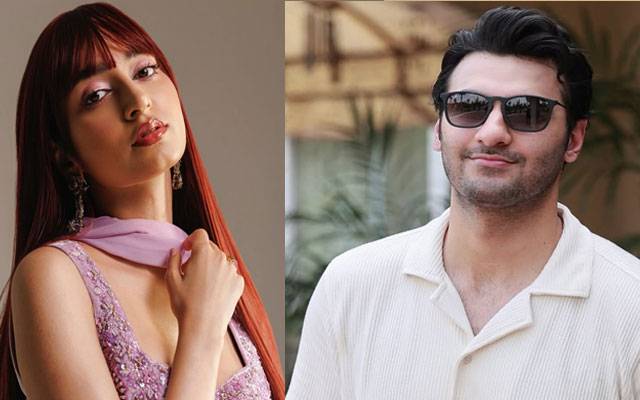 Arslan Butt sues Mamya Shajaffar over defamatory allegations