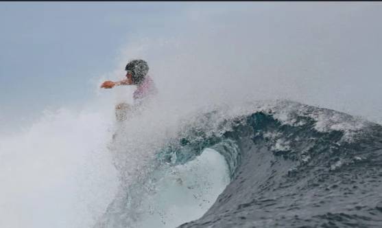 New Zealand surf event halted as sea creature bites photographer