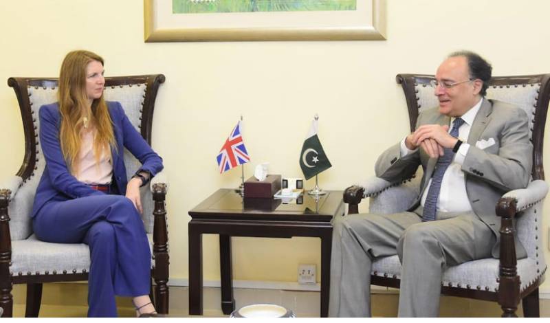 Aurangzeb briefs UK envoy on expanding tax base, revenue mobilization