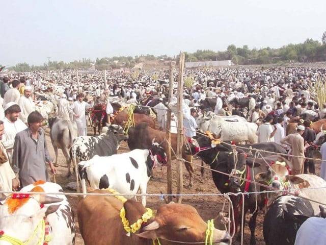 Eid-ul-Adha expected to generate over Rs 1 trillion economic activity in Pakistan in 2026