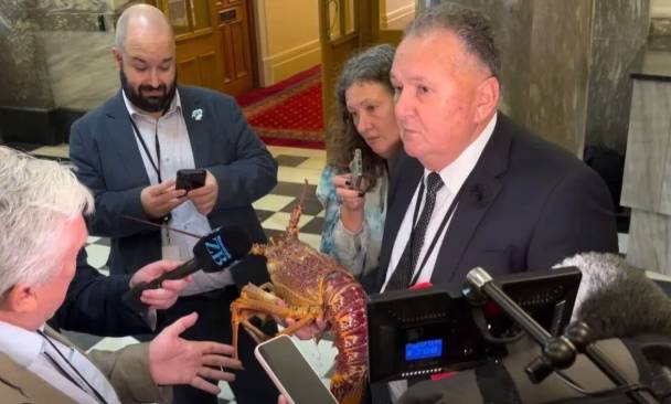 New Zealand lawmaker carries crayfish into parliament
