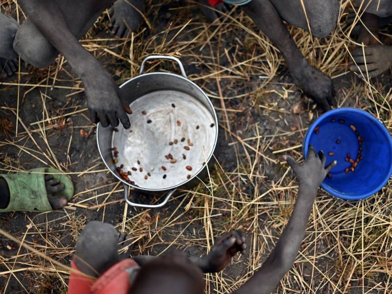 7.2 million in South Sudan urgently need food aid: UN
