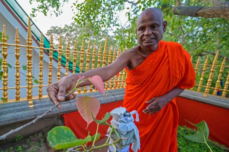 Sri Lanka's top monk suspended over alleged child sex abuse