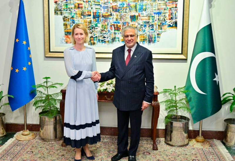 EU envoy terms Pakistan major regional power, ‘important partner’