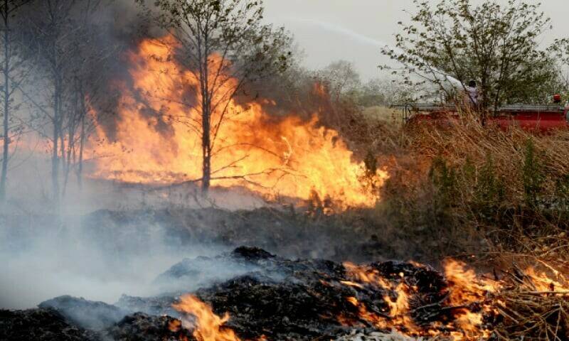 Kotli Sattian wildfire continues at 27 locations; 8,200 acres of forest burnt