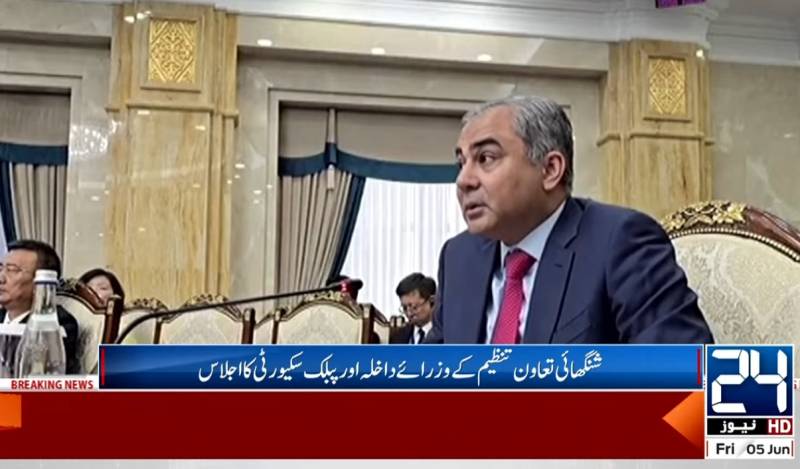 Mohsin Naqvi calls for collective action on border security at SCO meeting