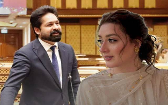 Momina Iqbal lodges PECA case against Punjab MPA over harassment