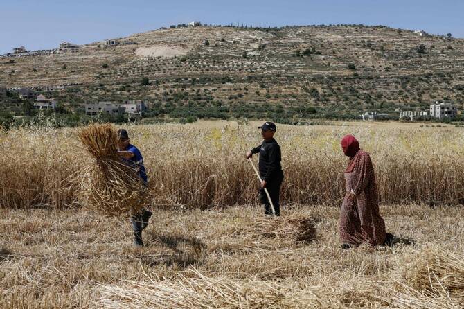 Palestinians call on Trump to stop Israeli annexation