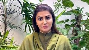 PPP flags concerns over delay in GB elections’ results