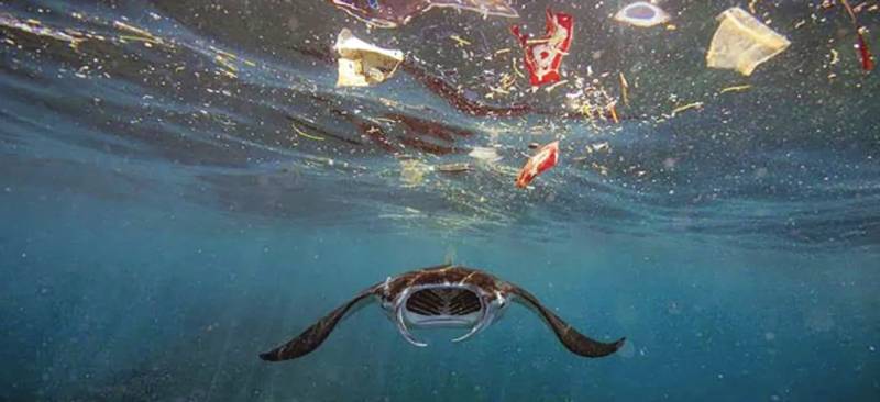 UN warns of 'deepening crisis' in oceans, urges action