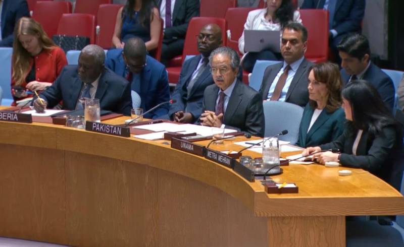 India using Afghan terror groups to destabilize Pakistan, envoy tells UNSC