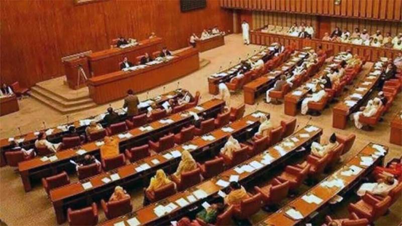 Senate witnesses heated exchange on Gilgit-Baltistan, Kashmir and law and order issues
