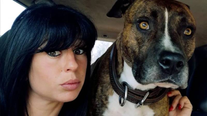 French man convicted after pit bull killed pregnant girlfriend
