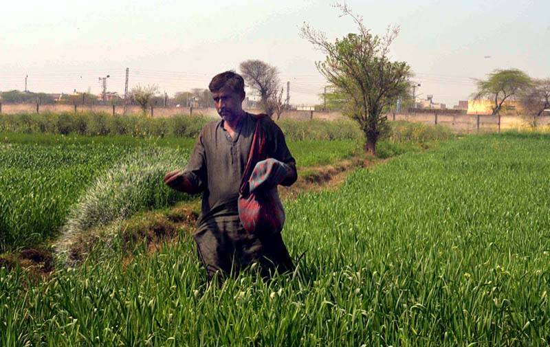 Punjab seeks supplementary grant to clear urea subsidy arrears