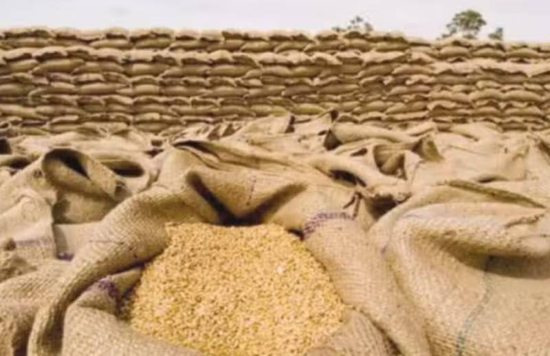 Food Ministry to supply wheat to Khyber Pakhtunkhwa