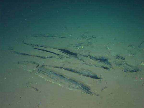 Massive whale graveyard nearly 23,000 feet beneath Indian Ocean discovered