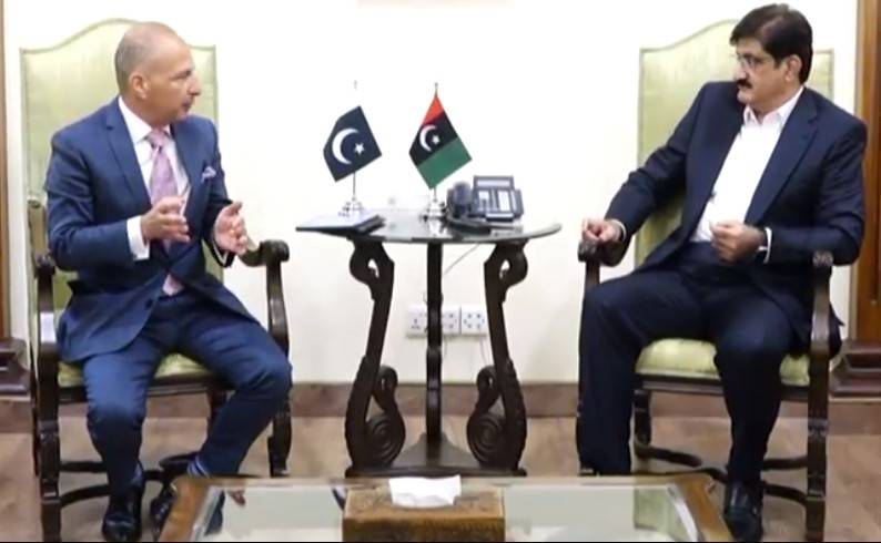 Sindh, Turkish firm explore investment opportunities in tourism and hospitality sector