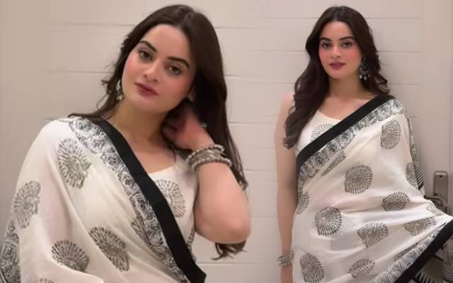 Minal Khan’s ethereal saree look has fans swooning