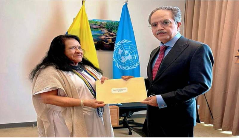 Pakistan envoy hands Dar's letter on India's IWT violations to UNSC president
