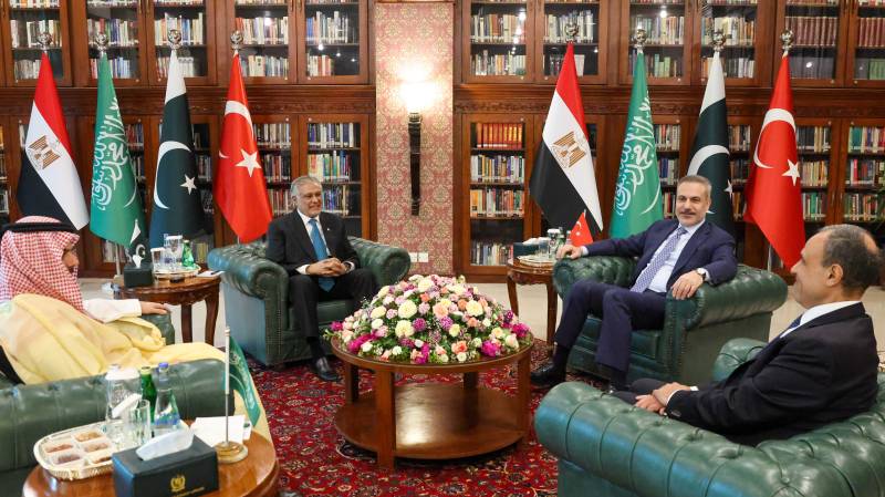 Egypt to host Pakistan, Saudi, Turkey FMs Sunday