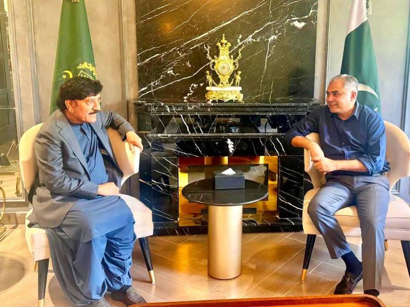 Sindh minister Ali Hassan Zardari calls on Naqvi