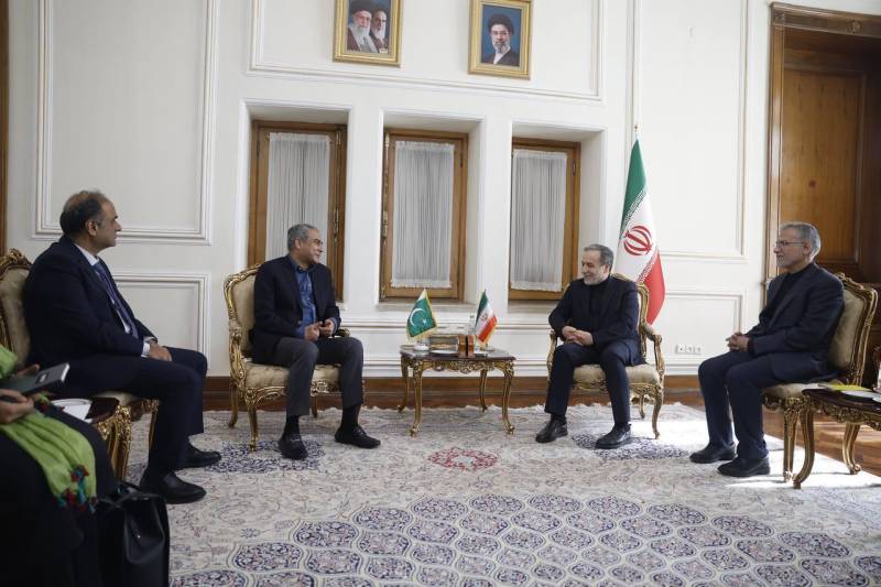 Mohsin Naqvi meets Iran FM, discusses evolving regional situation