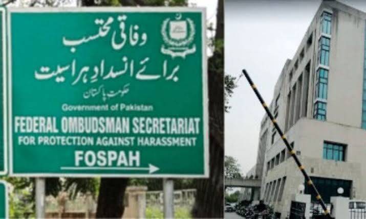 Ombudsperson fines private company Rs1.2m for firing employee on maternity leave