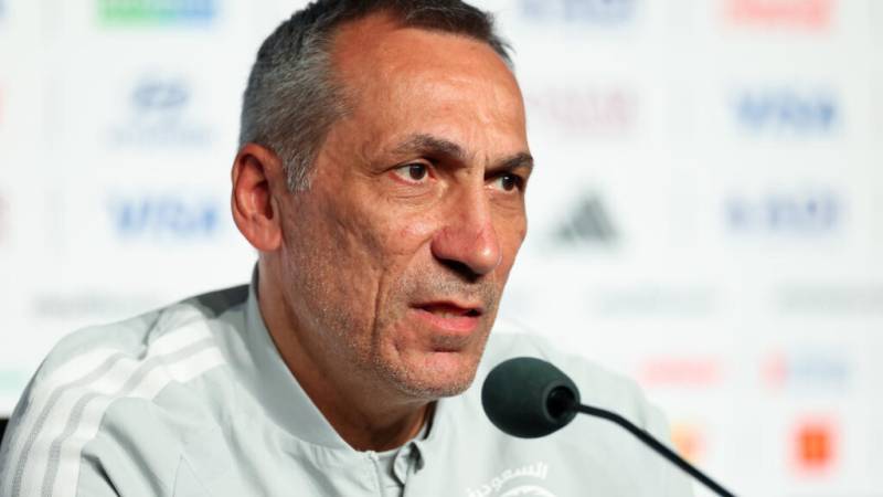 Saudi critics must be 'realists', says Donis after Spain lesson