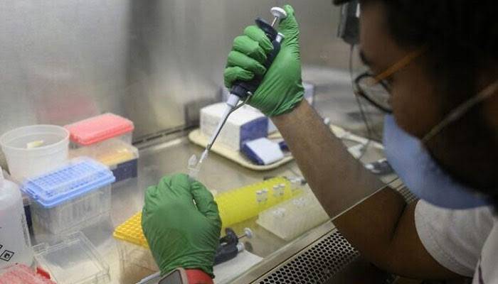 One environmental sample tests positive for Poliovirus in Sindh