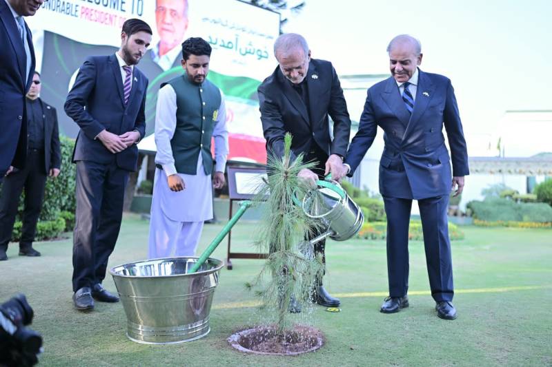 Pakistan and Iran on a New Path: Security, Energy, Peace, and Regional Stability