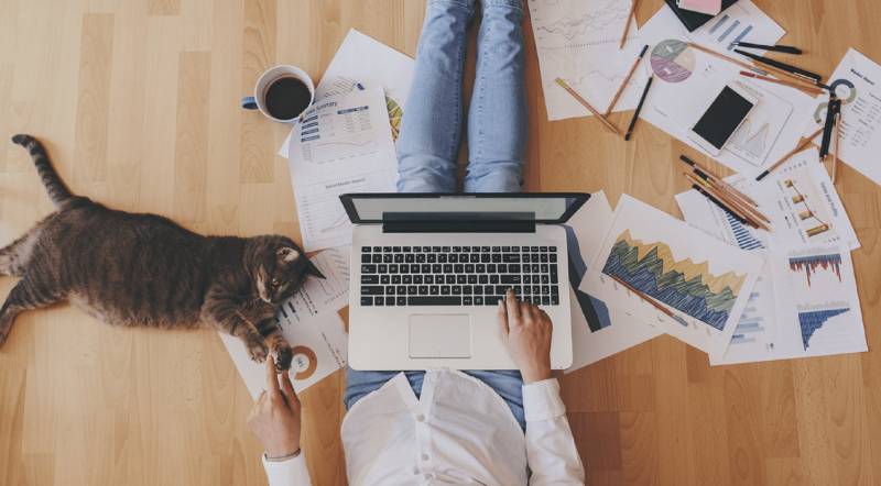 Work from home enforced for staff working in Islamabad’s Red Zone