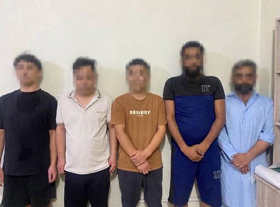 FIA busts illegal human placenta processing network