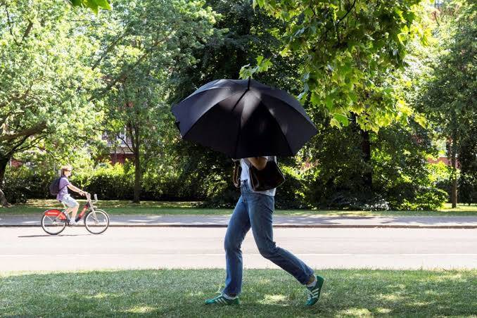 Germany hits hottest June temperature on record: weather service