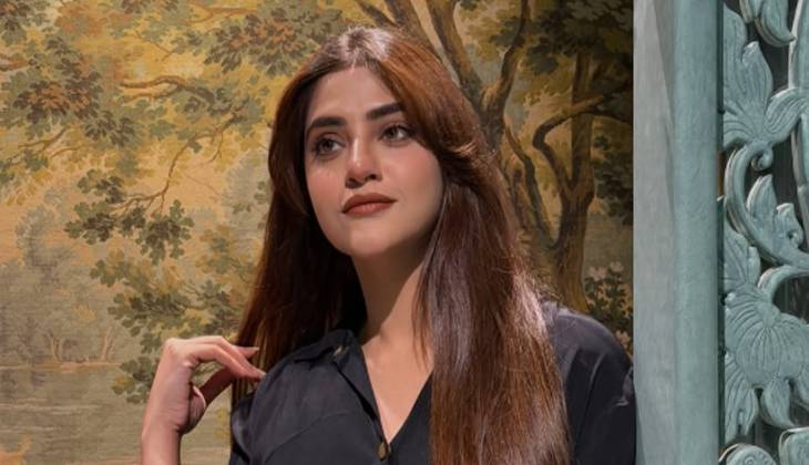 Namra Shahid makes revelation about Hania-Asim comeback
